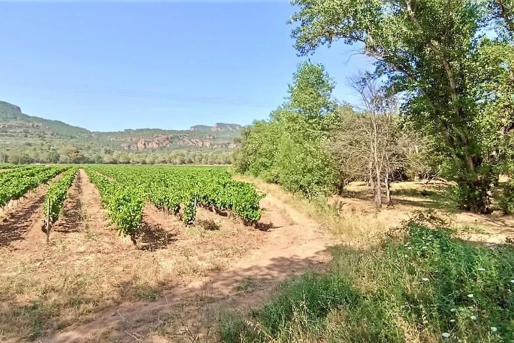 Superbe Villa Cadre Campagne Roquebrune-sur-Argens